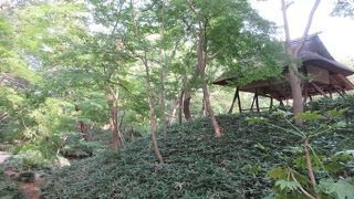 少し小高い場所にあることから、散策途中の目印にもなる休憩地点でした。