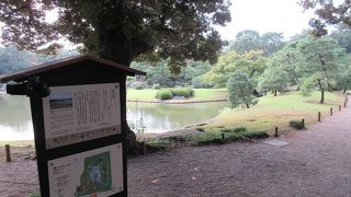 六義園界隈は高いビルが少ないので、日本庭園の変化に富んだ景観を楽しむことが出来ました。