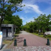 落ち着いた公園としての魅力もあると思います