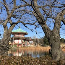 池に映る弁天堂が綺麗でした