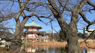 上野公園からすぐ近くです