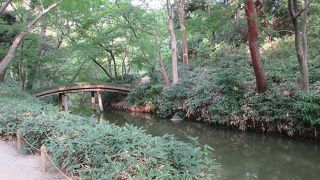 欄干もないのですが、それがまた渋い味を醸し出していました。