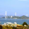 来島海峡サービスエリアに水族館ができた