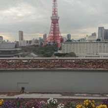 東京タワー！