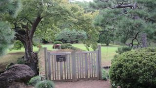 柵が設置されていて、通行はできないです。