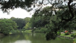 藤代峠のある一角と、妹山背山の間にある水べを「紀川」と呼んでいます。