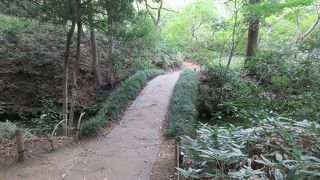 橋の両側は草が生い茂り、田舎の森の中に迷い込んだような錯覚さえ覚えました。