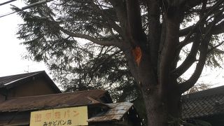 道の分かれ目に