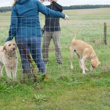 ドッグランも有ります