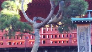 浮世絵にも描かれた