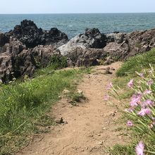 ナデシコと十六羅漢