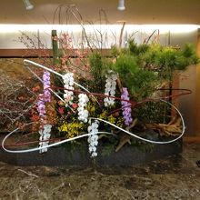 年1月 東京大神宮 赤城神社へお参りがてら神楽坂散策 神楽坂 飯田橋 東京 の旅行記 ブログ By きーぽーさん フォートラベル
