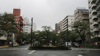 3月末から４月初めには、見事な万朶の桜が楽しめます。