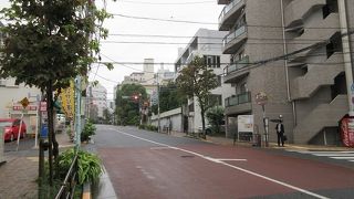 善仁寺や徳川家ゆかりの宗慶寺を見学しながら散策しました。