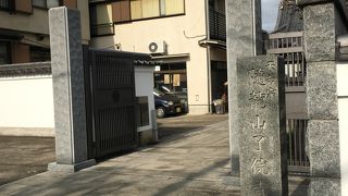 一本の木の景観が良い