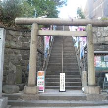 大橋の氷川神社のトリイと石の階段です。階段は、かなり長いです