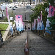 大橋の氷川神社の石段を上から見た様子です。急な階段に見えます