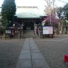 長い階段を昇ると、正面に大橋の氷川神社の本殿が見えてきます。