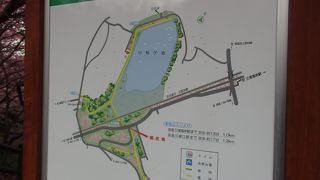  三浦半島散策で小松ケ池に寄りました