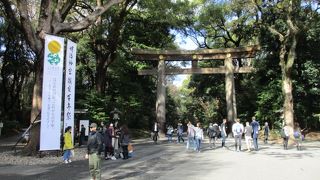 空気が美味しいです。