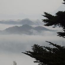 雲海