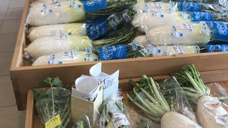 土地の魚　お野菜が買えます