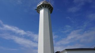 細くてすらりとした姿