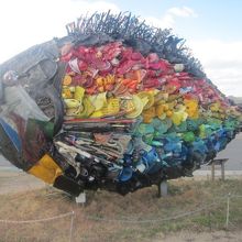 宇野のチヌの様子