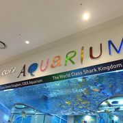 コエックスの中の水族館♫