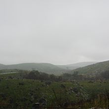 どんより天気で、残念