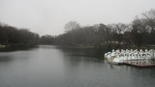 井の頭恩賜公園ボート売店