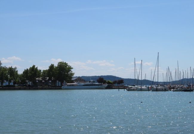 バラトンフレド