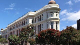 ニュージーランドアカデミー オブ ファインアーツ