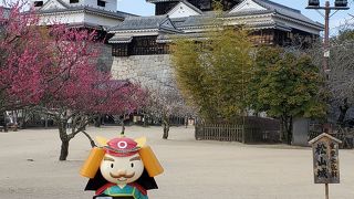 立派なお城ですね