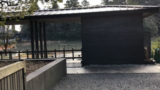 白い鳥が優雅に舞う池