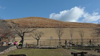 大仏殿を見下ろす