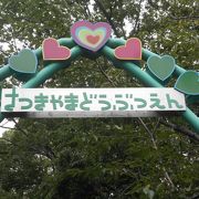 ウォンバットがいる小さな動物園