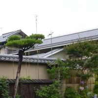 見た目は純和風