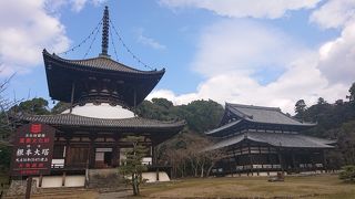 広々としたお寺に迫力の大塔（根來寺 ）