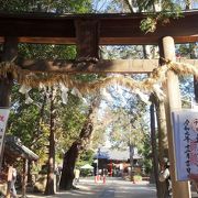 氷川神社(お父さん)と氷川女體神社(お母さん)の間にある子供の神社