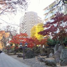 参道風景