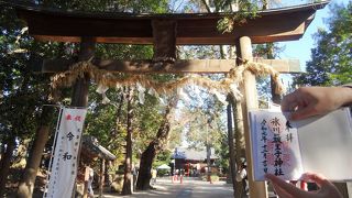 氷川神社(お父さん)と氷川女體神社(お母さん)の間にある子供の神社
