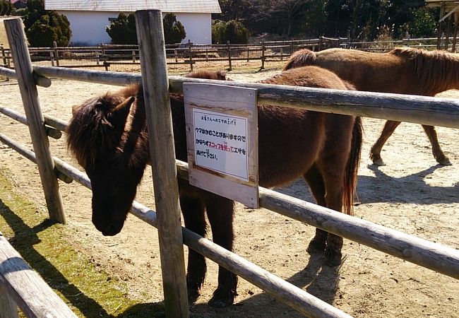 動物たちとふれあえる楽しい場所です！