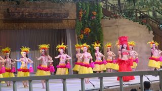 55周年、がんばっていますね。