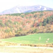 気持ちよく走れる広域農道です