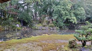 雪がなくて残念！