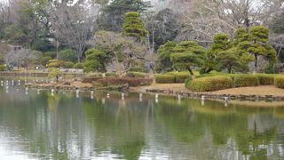 千葉公園内の広い池