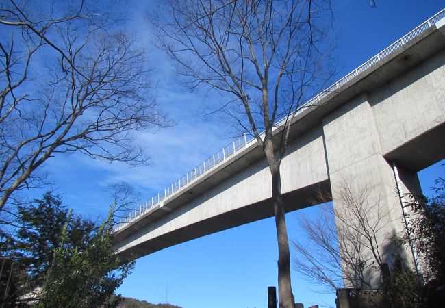 高所からの蛸ノ浜の見晴らし（浄土ヶ浜の白い巨岩群は見えない）