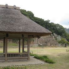 堀を望む湯築城跡の公園