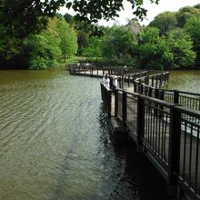 坂田ヶ池総合公園(人道橋)